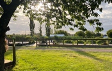 Utsikt över Dr. Bach-trägården